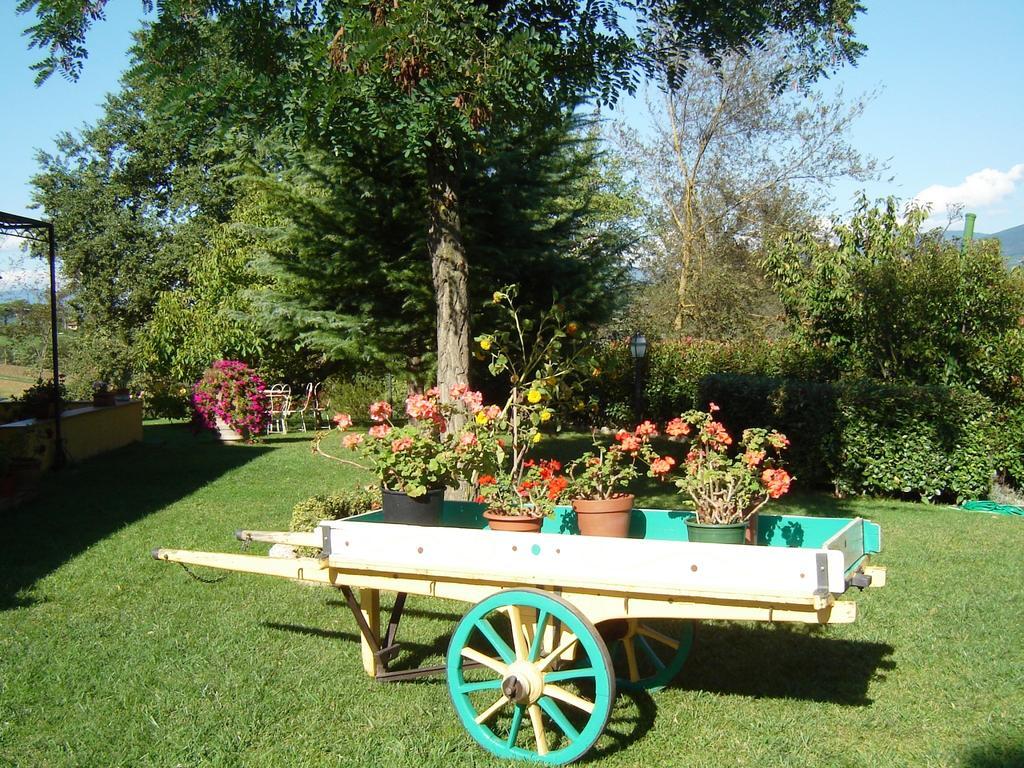 B&B Casale Ginette Incisa in Val d'Arno Exteriér fotografie